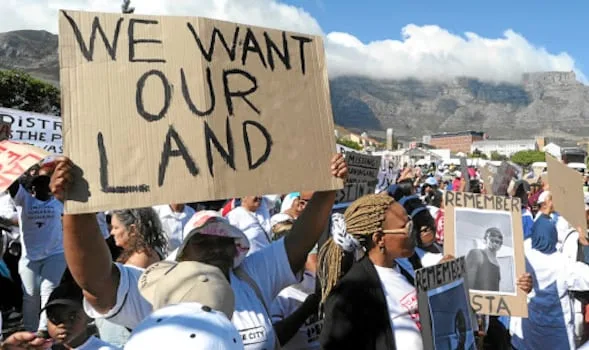 BRIAN BENFIELD | Expropriation in court: where are the banks, insurers and regulators?