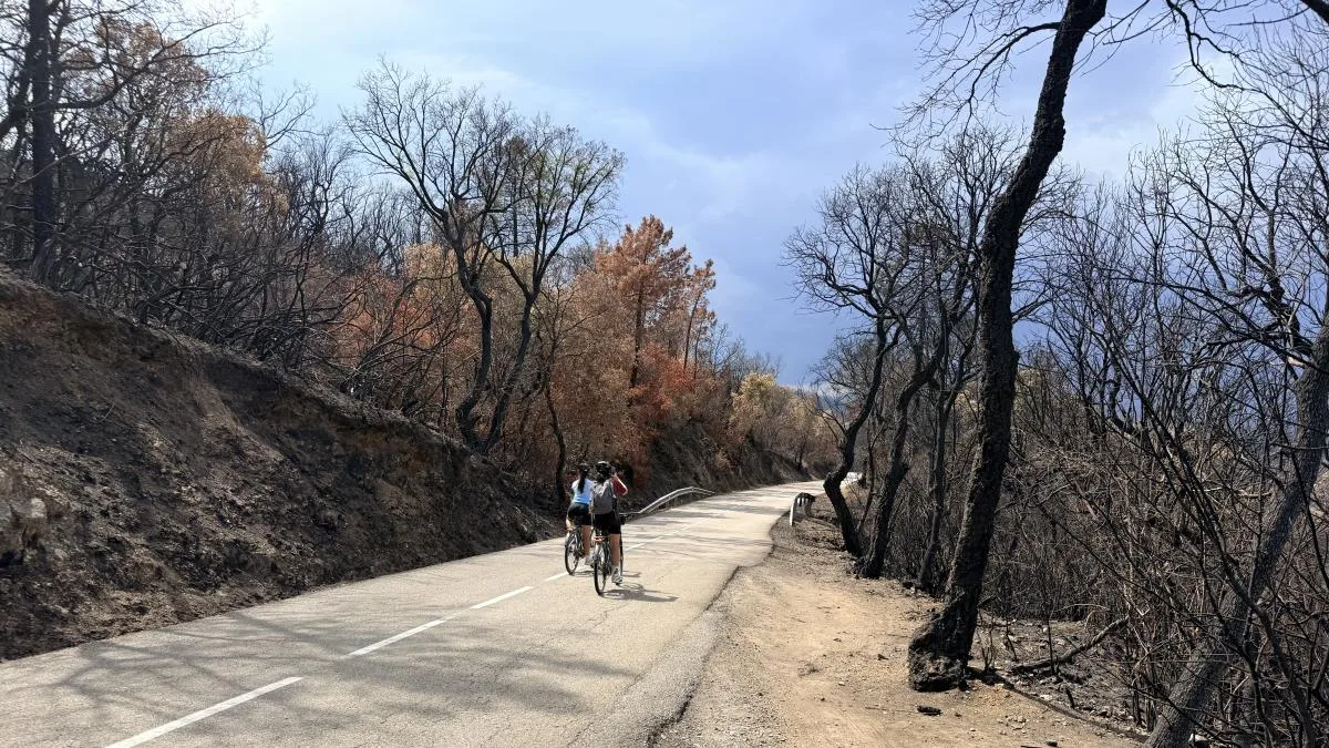 Los restos del incendio de Les Gavarres: el bosque quemado que la noche no deja ver