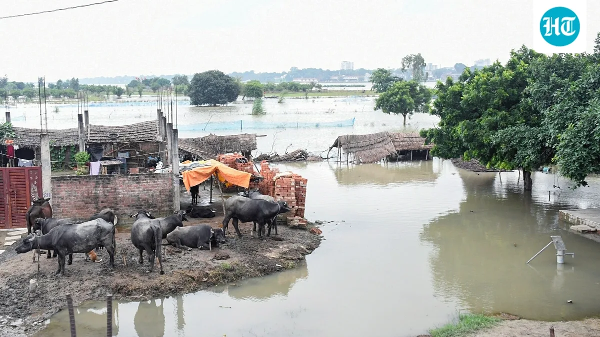 Ganga water recedes in Bihar; severe flood conditions persist in UP