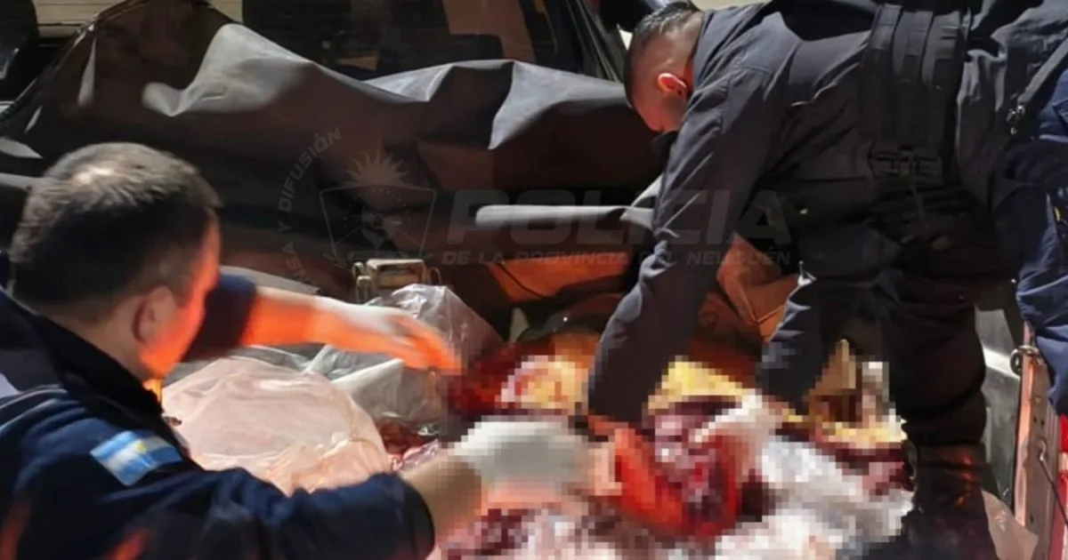 Llevaban más 200 kilos de carne de caballo en la camioneta y fueron multados en Neuquén: investigan presunto abigeato