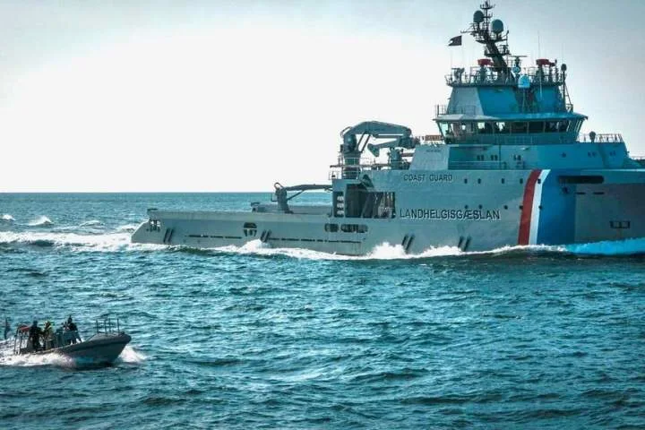 Iceland anti-whaling mission a success: activists