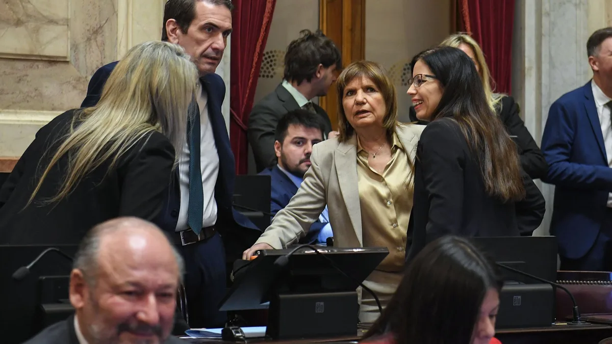 Súper RIGI: los dos cambios que piden los aliados a Bullrich y frenan el dictamen en el Senado