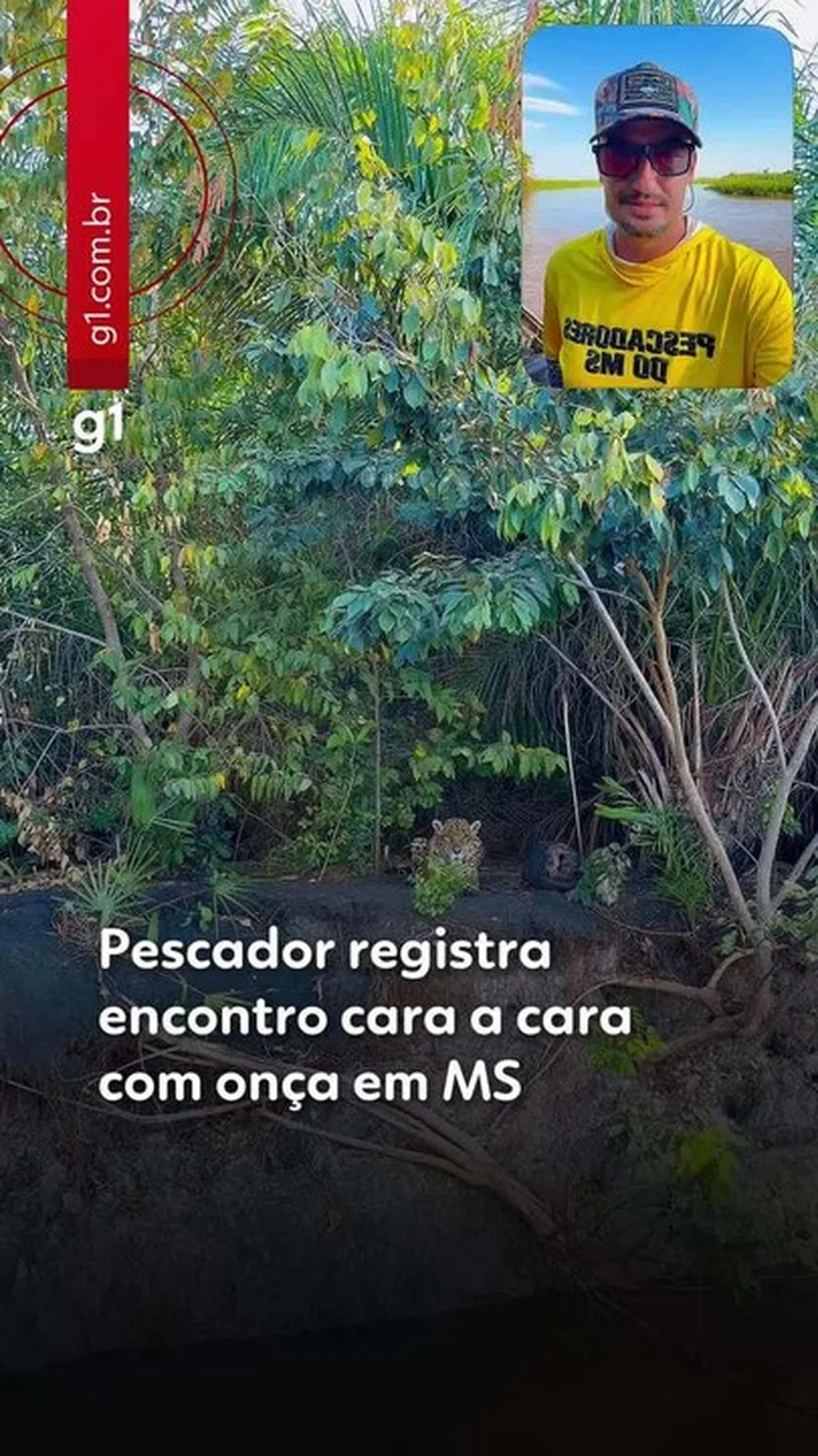 Pescador fica cara a cara com onça-pintada durante expedição de 300 km pelo Pantanal