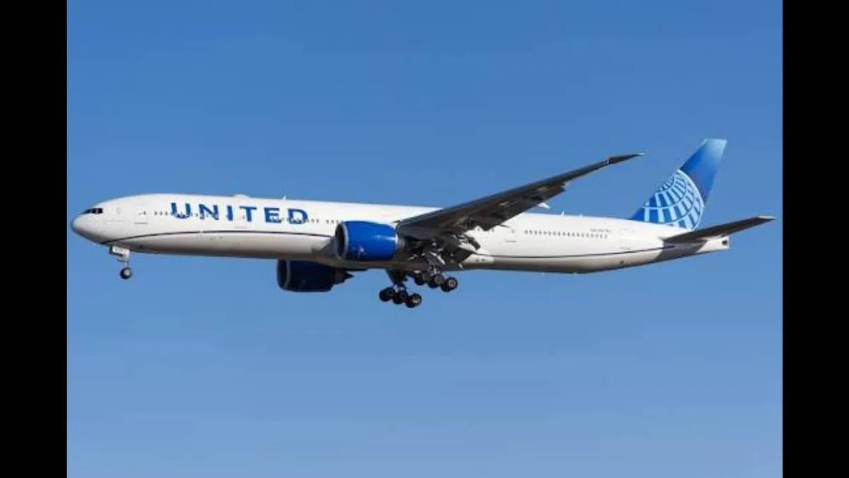 Woman says she was forced to sit next to man who was masturbating, was later given $100 flight credit; United Airlines launches probe