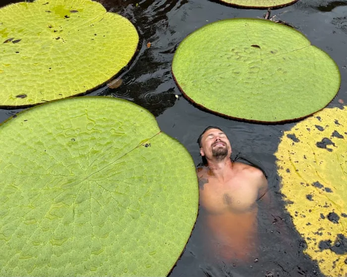 How a plant selfie in Colombian jungle led to ‘jaw dropping’ giant waterlily find