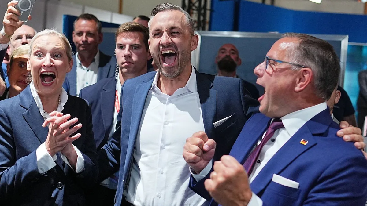 Projekt von Juristen: Handreichung zeigt rechtliche Wege bei AfD-Kurswechsel auf