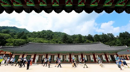 '님의 침묵' 출간 100주년…만해의 길 걷고 작품 속 나무 심는다