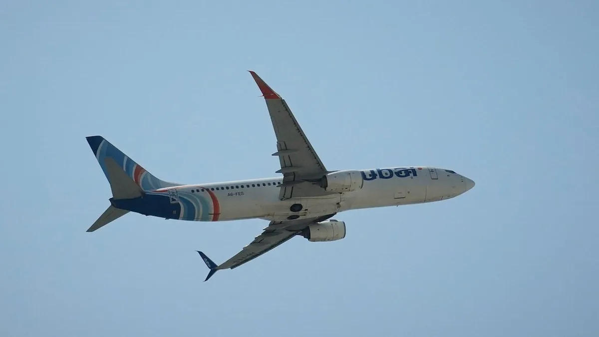 FlyDubai co-pilot sought to crash plane into Tel Aviv's main airport: UAE