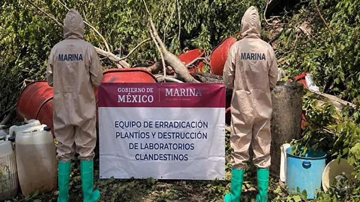 De explosivos caseros a un narcolaboratorio: confiscan arsenal bélico y detienen a 8 personas en diferentes operativos en Sinaloa y Nayarit