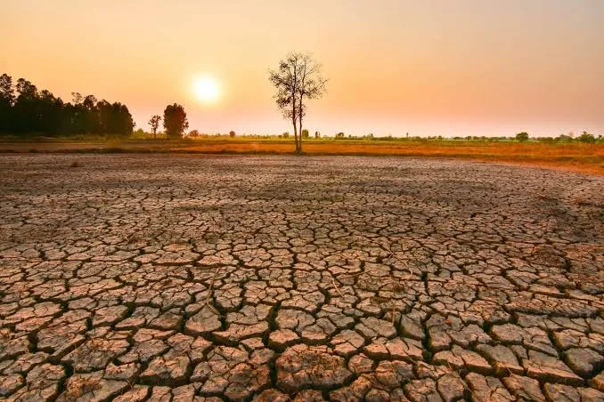 Edital de R$ 4 milhões aposta em inovação para ampliar engajamento climático no Brasil