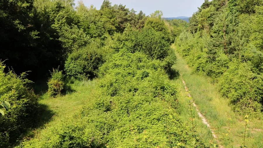 Vom Asphalt nur Natur: Alte A 4 in Thüringen: Wandern, wo einst Autos rasten