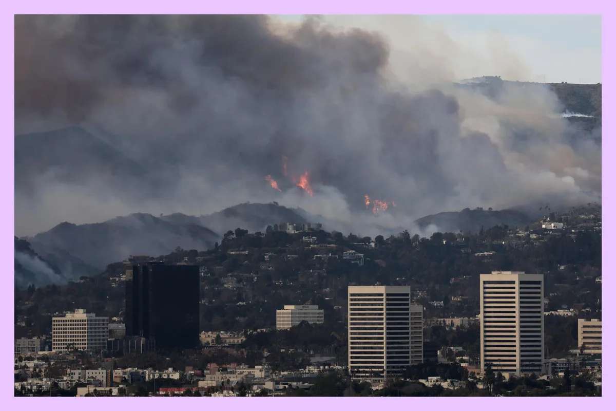 Wildfire and water research grants saved as Trump EPA permanently restores $19 million to UC