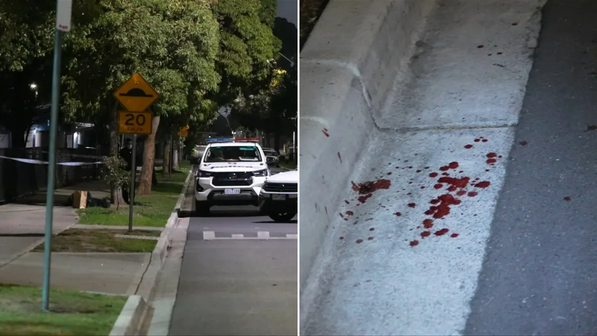 Girl, 15, charged after 18-year-old teenager stabbed six times during Deer Park brawl in Melbourne