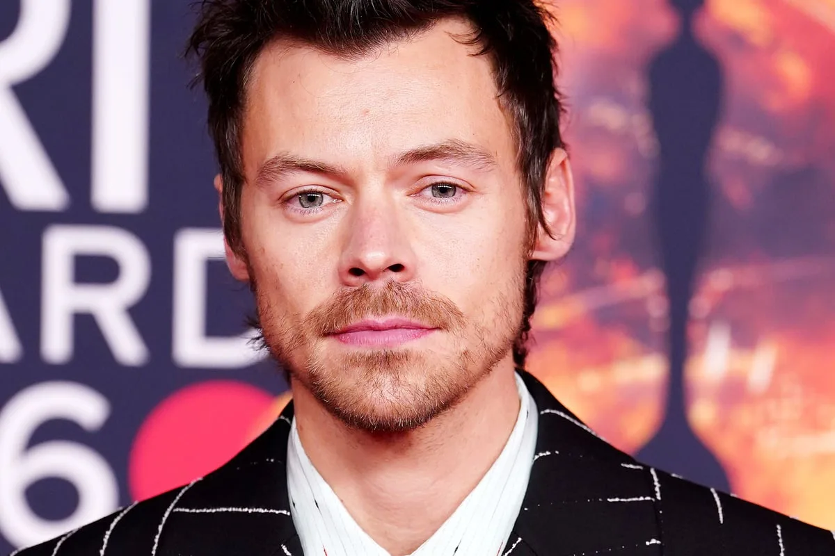 Harry Styles took break from music due to pressure: ‘I was a bit in my head’