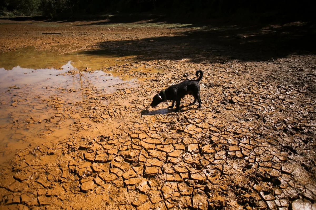 ‘Unprecedented’ El Nino is already breaking weather records before peak, Met Office warns