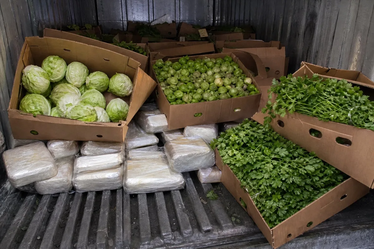 Un camión con vegetales ocultaba 1.277 kilos de presunta metanfetamina valuados en más de USD 25 millones