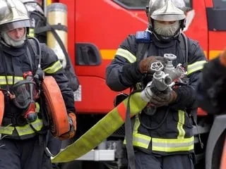 Quatre-vingt-dix chiens évacués et pris en charge après l’incendie d’une serre dans l’Hérault