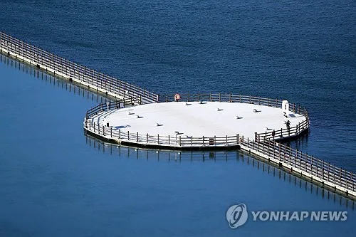 20억 넘게 투입한 속초 영랑호 부교 철거 수순…예산 낭비 도마