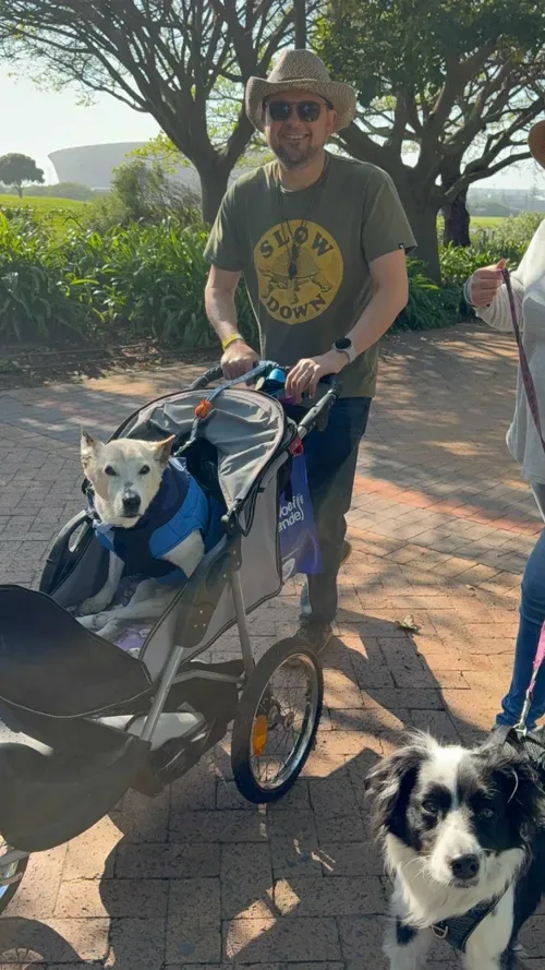 Dog walk raises R188,000 for SPCA animal-care project