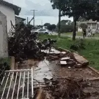 Vendaval destelha casas, derruba árvores e deixa parte da cidade sem luz