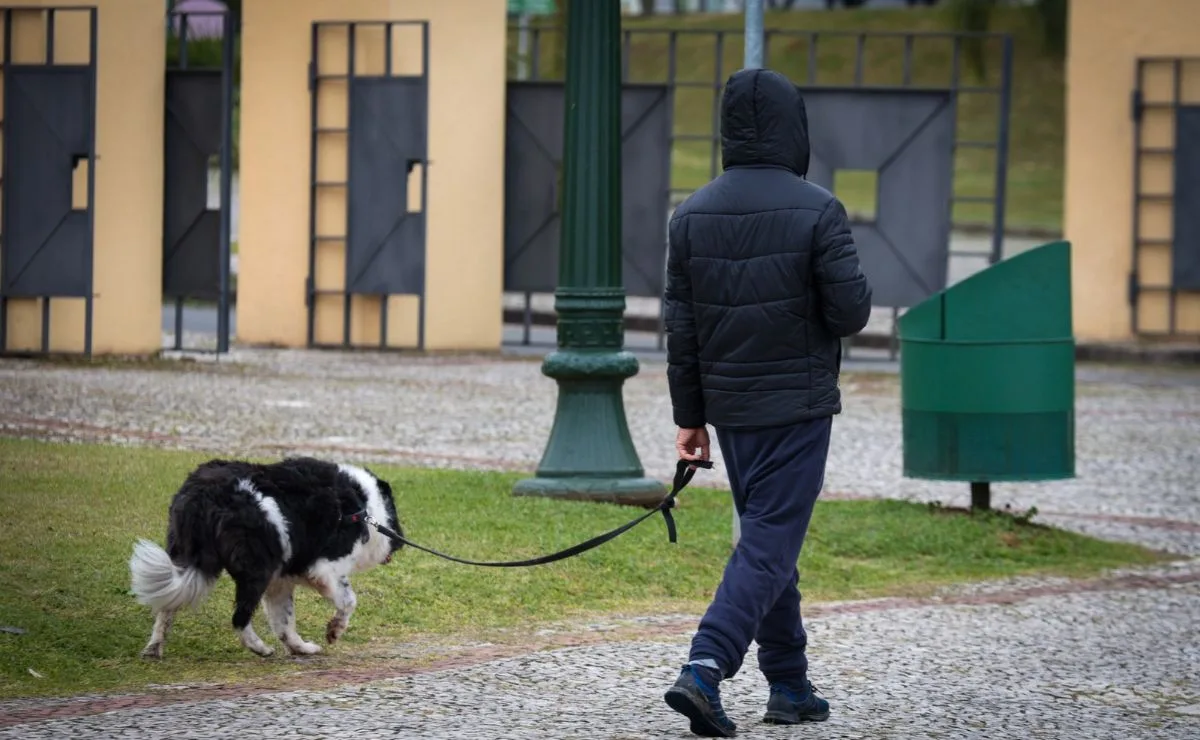 Chuva perde força na região Sul, mas massa de ar polar promete derrubar temperaturas; veja previsão completa