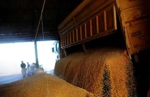 Frete recua em julho, mas safra de milho aquece demanda em agosto, diz Edenred