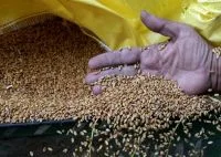 Soja recua 0,91% em Chicago antes de relatório de oferta e demanda do USDA