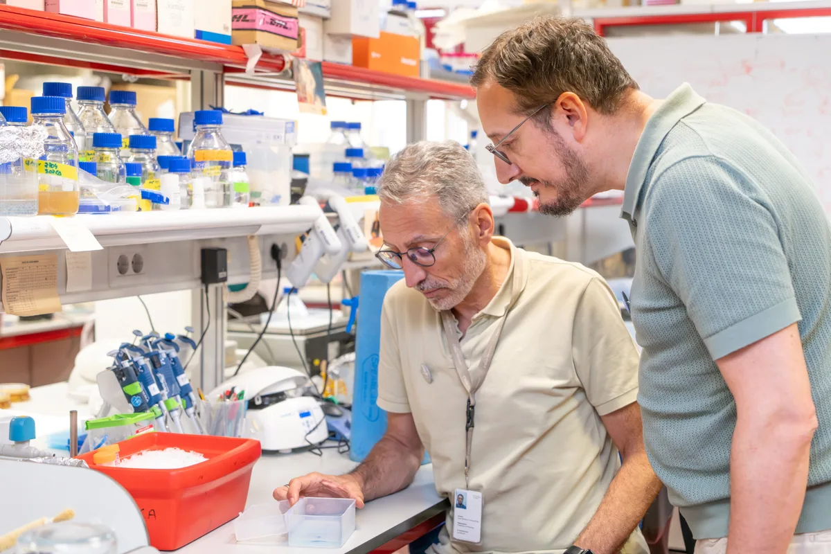 El yogur podría convertirse en una nueva forma de tratar el cáncer: el CNIO investiga cómo los probióticos pueden convertirse en aliados