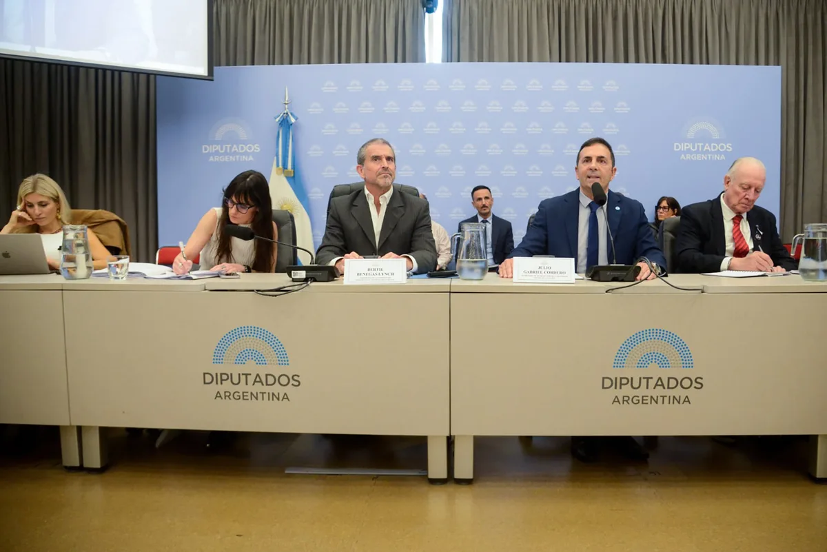 El secretario de Trabajo defendió el Presupuesto y dijo que “no todos quieren trabajar en relación de dependencia”