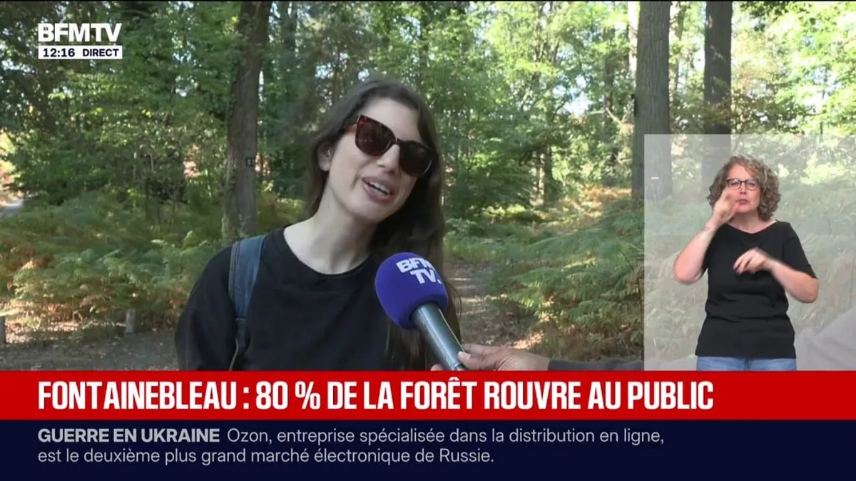 "C'est un vrai plaisir": 80% de la forêt de Fontainebleau rouvre au public ce samedi après d'importants incendies en juillet