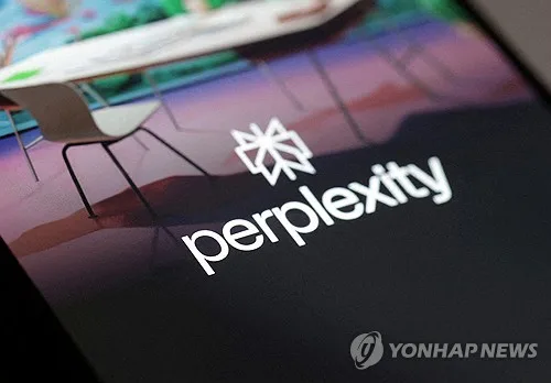 "엔비디아, 퍼플렉시티 추가 지분투자 논의"