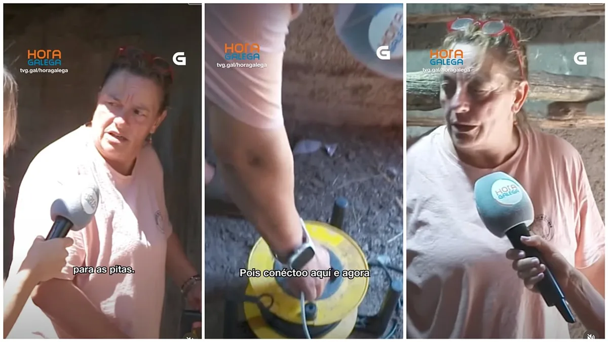 Liga uma ventoinha para refrescar as galinhas e momento torna-se viral na TV Galicia