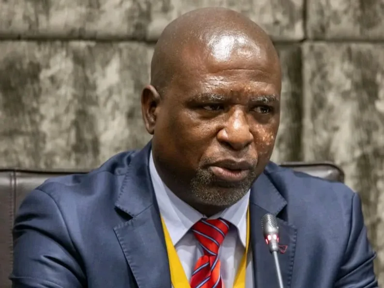 Ad hoc committee to ignore Madlanga evidence in report — for now