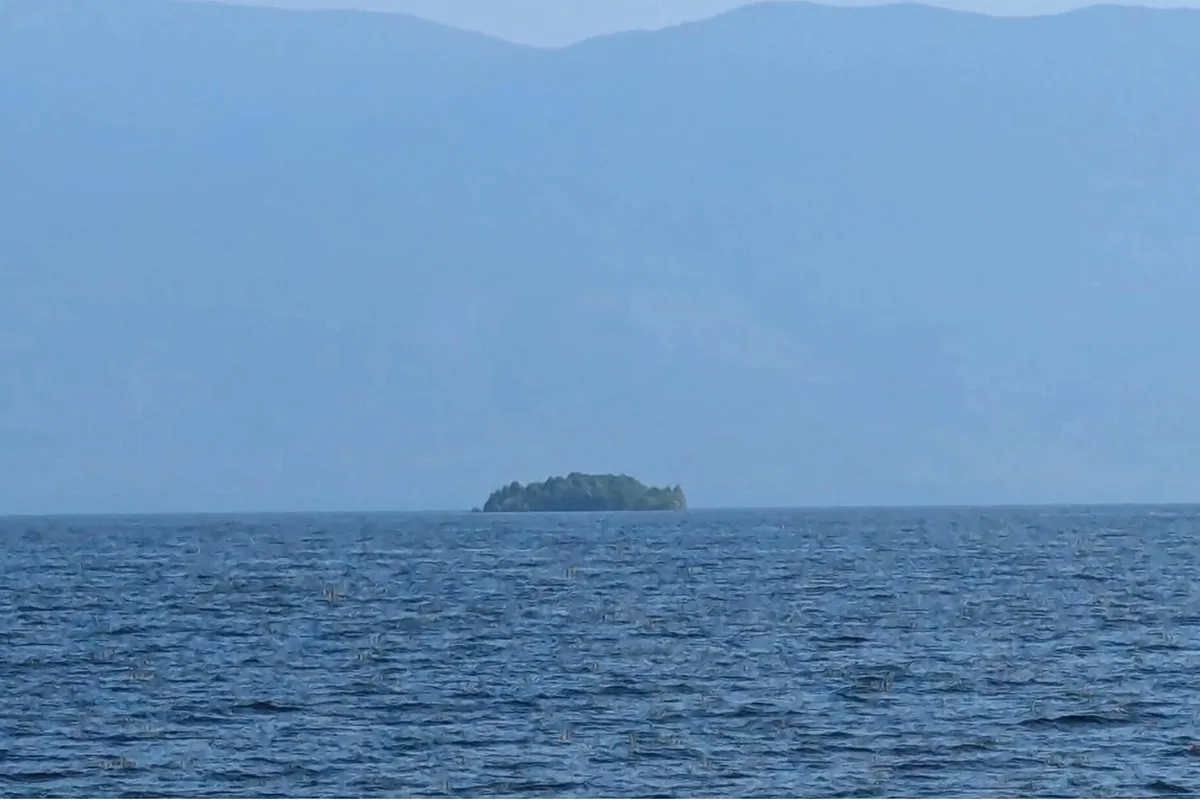 Ilha misteriosa coberta de árvores surge à deriva em lago no Canadá