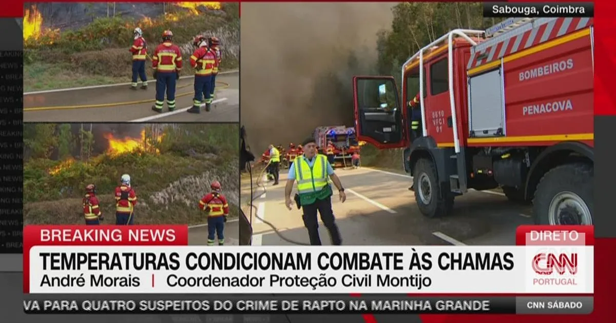 Fogos em Coimbra "vão ser alimentados nos próximos dias pelo aumento da temperatura"