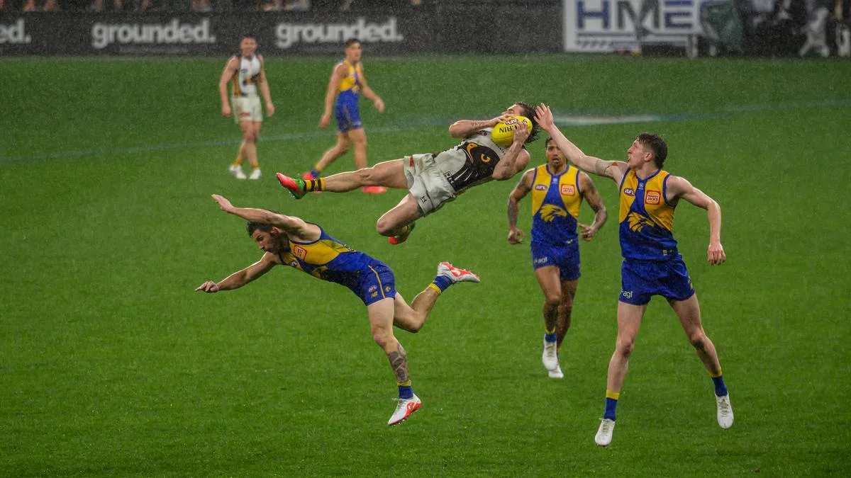 Hawthorn star Nick Watson wins Mark of the Year over Fremantle Docker Shai Bolton