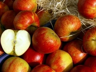 Du jus de pomme rappelé partout en France, il contient des mycotoxines : il ne faut pas le boire