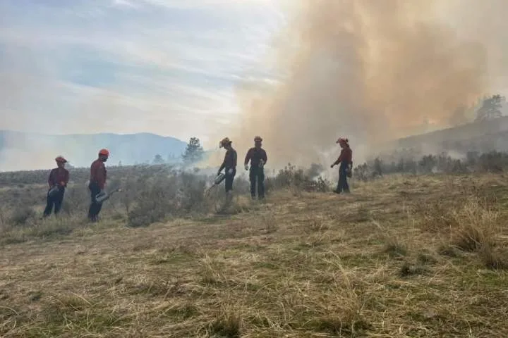 Indigenous cultural burn near Osoyoos revives traditional fire stewardship