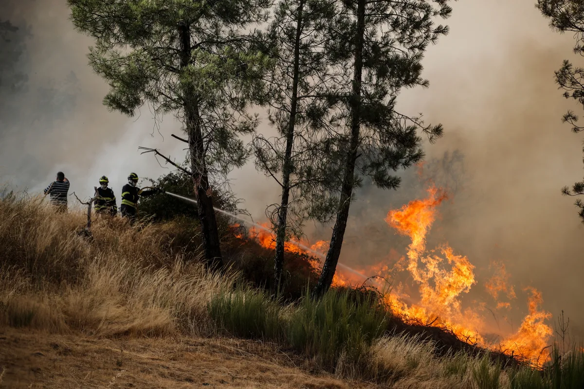 Quatro grandes incêndios no Norte entram em fase de resolução