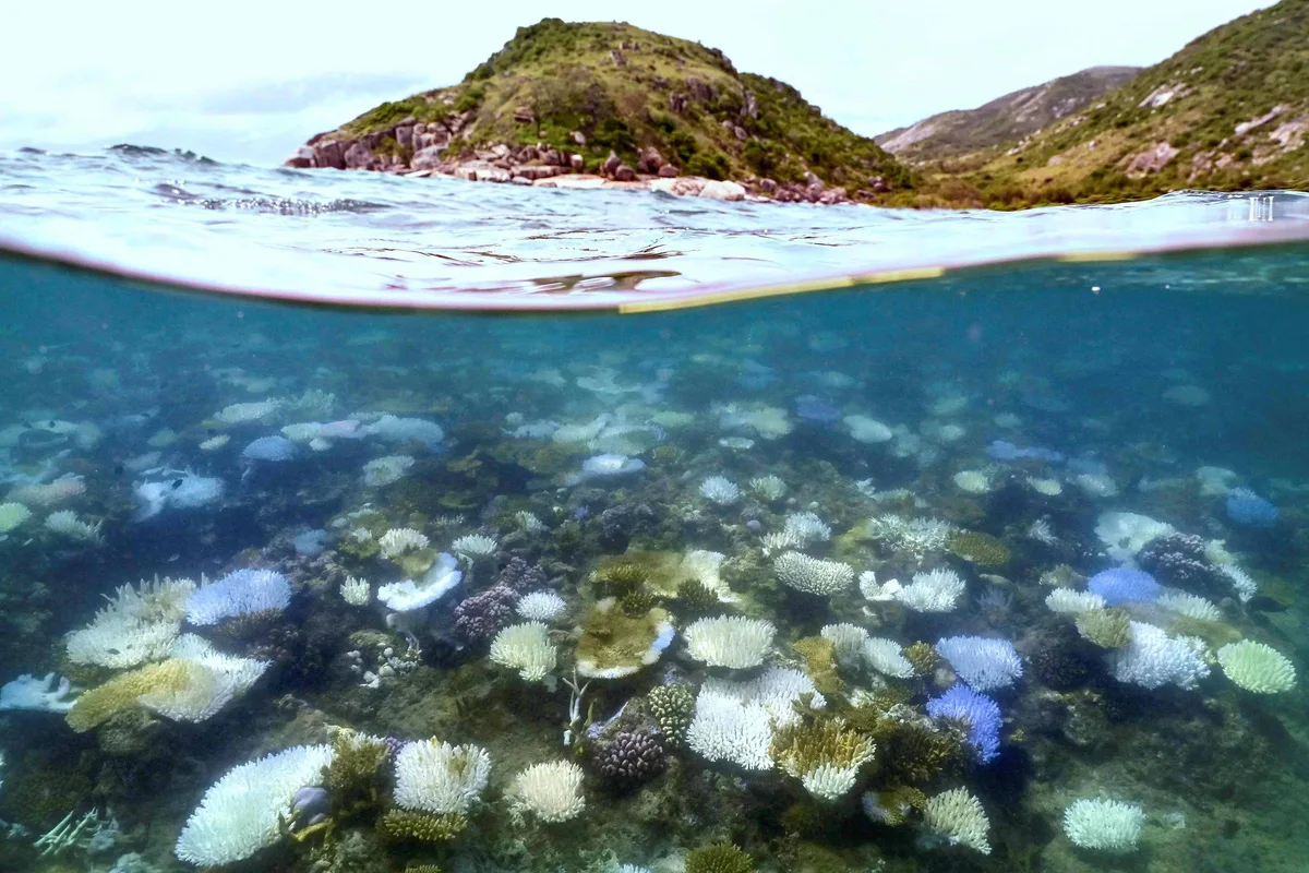 Calor recorde dos oceanos ameaça a economia do planeta