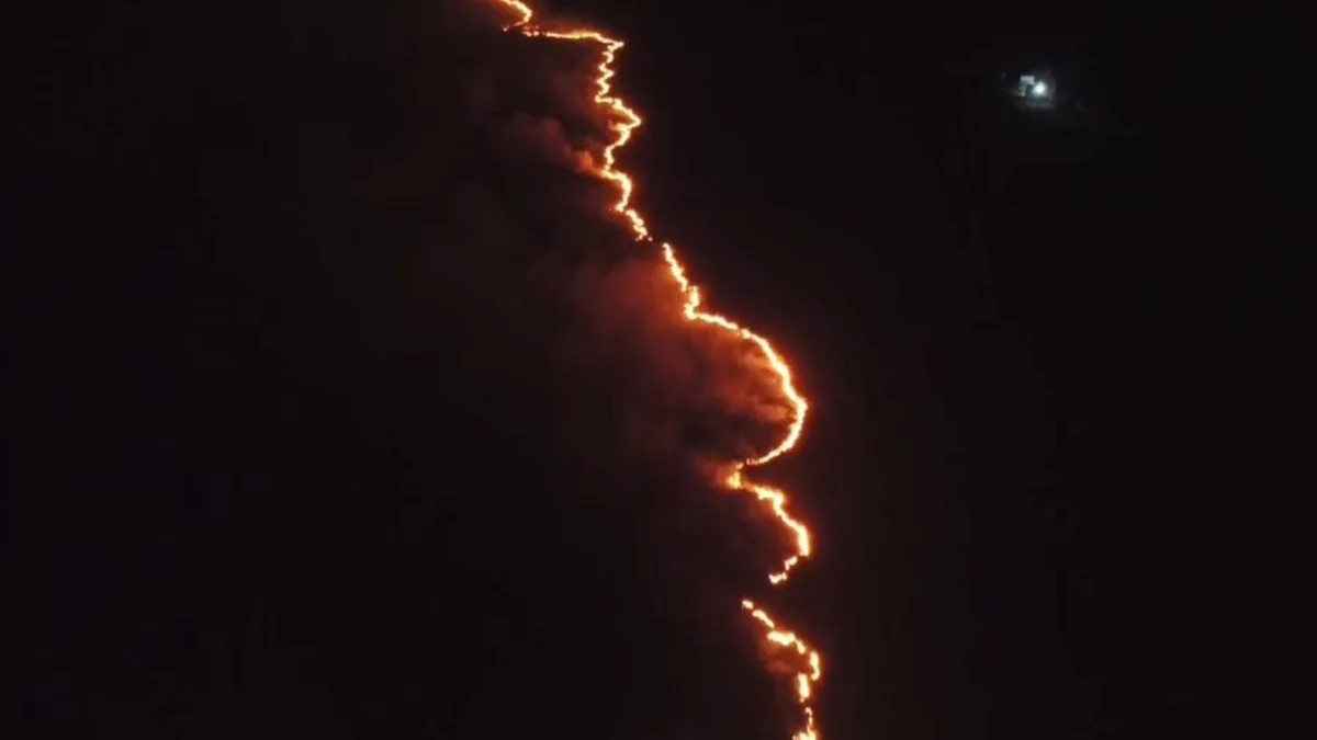 Incêndio atinge mais de 2 mil m² de área de vegetação de difícil acesso no Sul do ES; veja VÍDEO