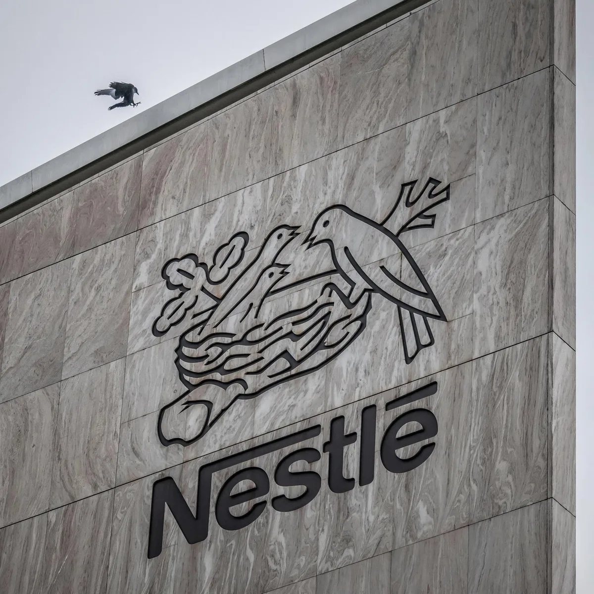 Wirtschaft - Nestlé prüft Maßnahmen gegen russische Zwangsverwaltung