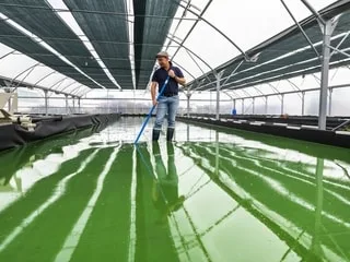 Fête de la galette, de la spiruline, festival de la bière… Cinq sorties incontournables en septembre en Bretagne