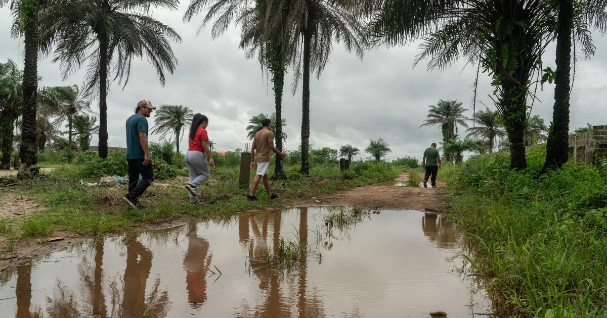 Deportados relatan sus desgarradores viajes a África: grilletes, un "congelador" y golpes