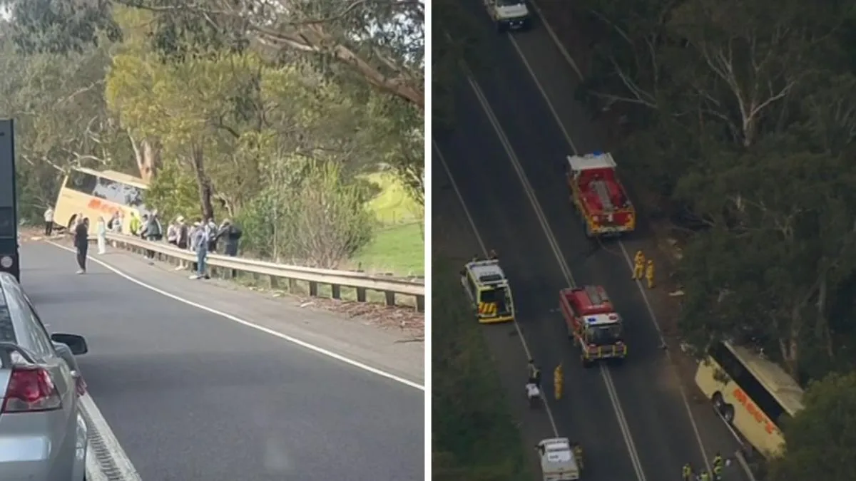 At least one person feared dead as bus and car collide on Melba Highway in Victoria
