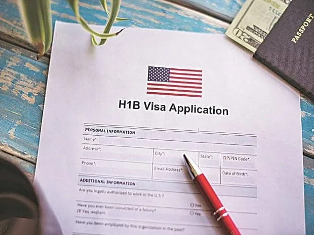 US green card freeze: How PERM works and why Indian techies are affected