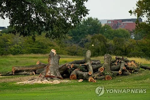 공공골프장 개조 노린 트럼프 정부 '꼼수 벌목'…美판사 "격분"
