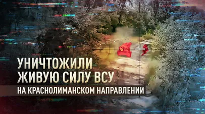 Операторы FPV-дронов сорвали ротацию ВСУ на Краснолиманском направлении