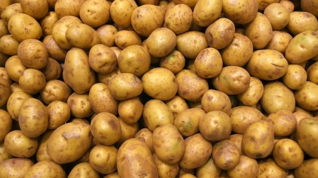 В Забайкалье реализовали 67 тонн местной сельхозпродукции на ярмарке