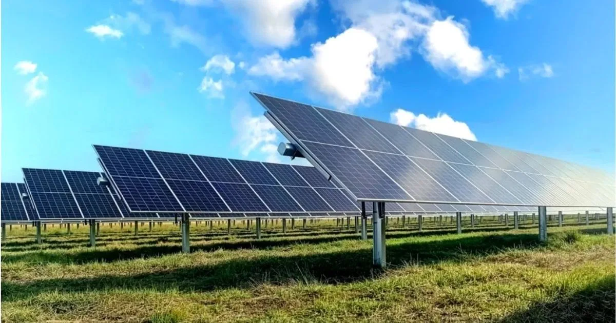 Secco avanza con las renovables en Corrientes: puso en marcha el Parque Solar Bella Vista mientras finaliza con las obras en Esquina